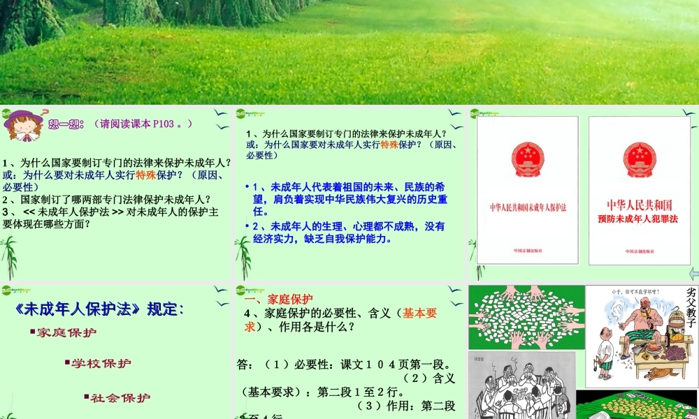 七年级政治上册 8.1(特殊的保护 特殊的爱)课件 人教新课标版 课件