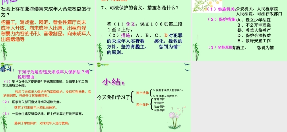 七年级政治上册 8.1(特殊的保护 特殊的爱)课件 人教新课标版 课件