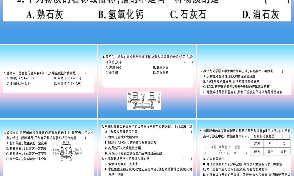 九年级化学下册 第十单元 酸和碱检测卷习题课件 (新版)新人教版 课件