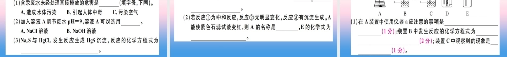 九年级化学下册 第十单元 酸和碱检测卷习题课件 (新版)新人教版 课件