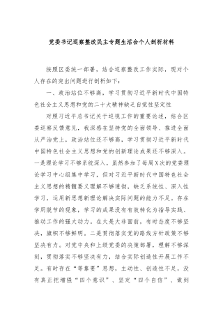 党委书记巡察整改民主专题生活会个人剖析材料