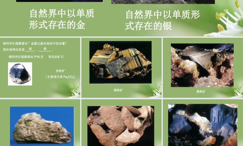 九年级化学上册 金属的防护和回收课件2 沪教版 课件