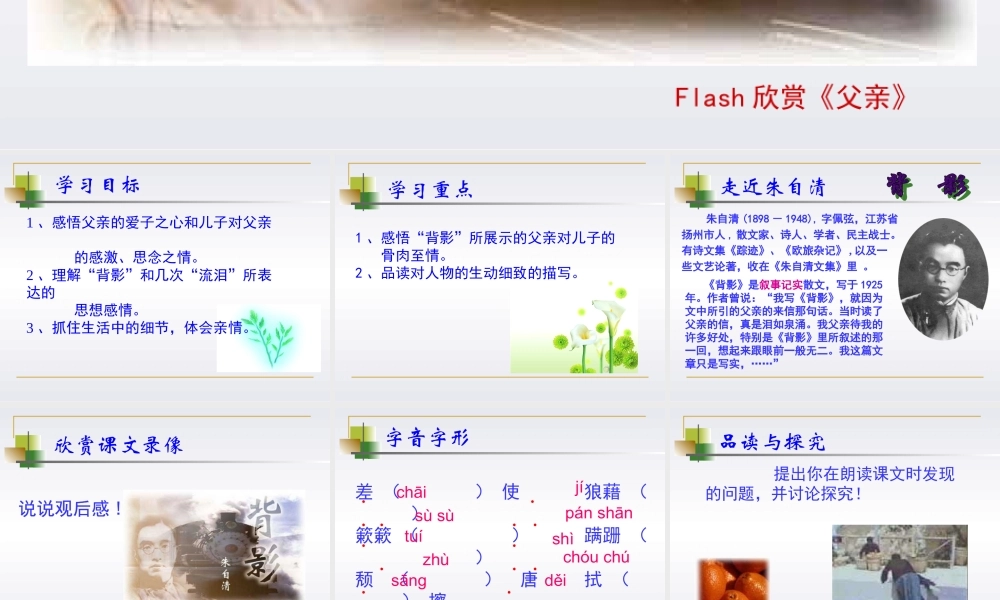 (背影)教学课件7 八年级语文上册第二单元(背影)课件7套人教版 八年级语文上册第二单元(背影)课件7套人教版