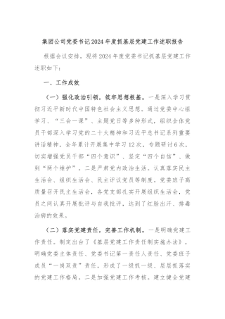 集团公司党委书记2024年度抓基层党建工作述职报告