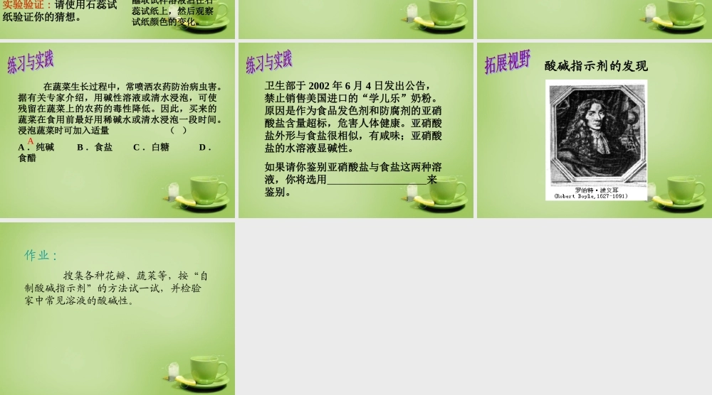 九年级化学全册(71 溶液的酸碱性)课件 (新版)沪教版 课件