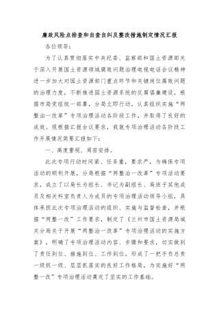 廉政风险点排查和自查自纠及整改措施制定情况汇报