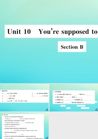 (江西专版)九年级英语全册 Unit 10 You re supposed to shake hands Section B习题课件 (新版)人教新目标版 课件