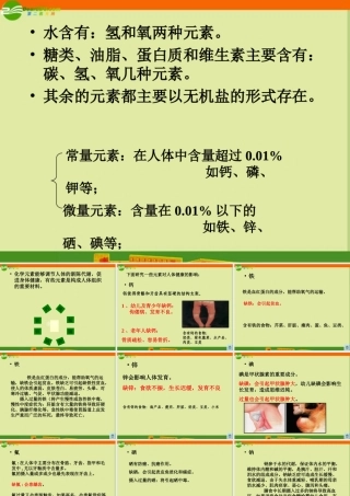 九年级化学(化学元素与人体健康)课件 人教新课标版 课件