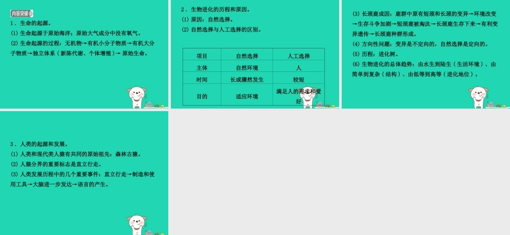 (江西专版)中考生物 第2部分 专题九 生物分类与生命演化复习课件