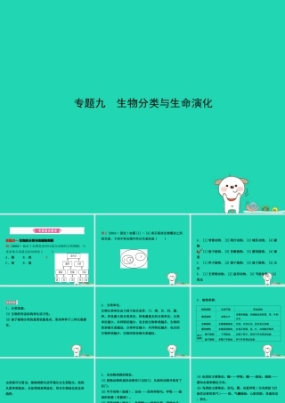 (江西专版)中考生物 第2部分 专题九 生物分类与生命演化复习课件