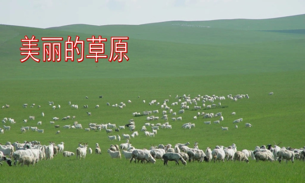 七年级政治上册 第一单元 正确认识自我 第一课 生命的乐章 第三课时课件 陕教版 课件