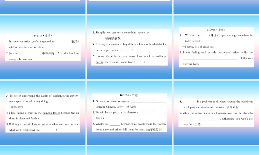 中考英语总复习 第三部分 中考题型实战篇 5 英汉互译习题课件
