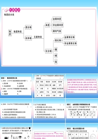九年级化学下册 专题七 物质的分类习题课件 (新版)新人教版 课件