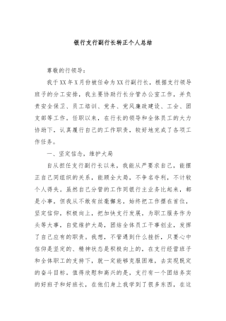银行支行副行长转正个人总结