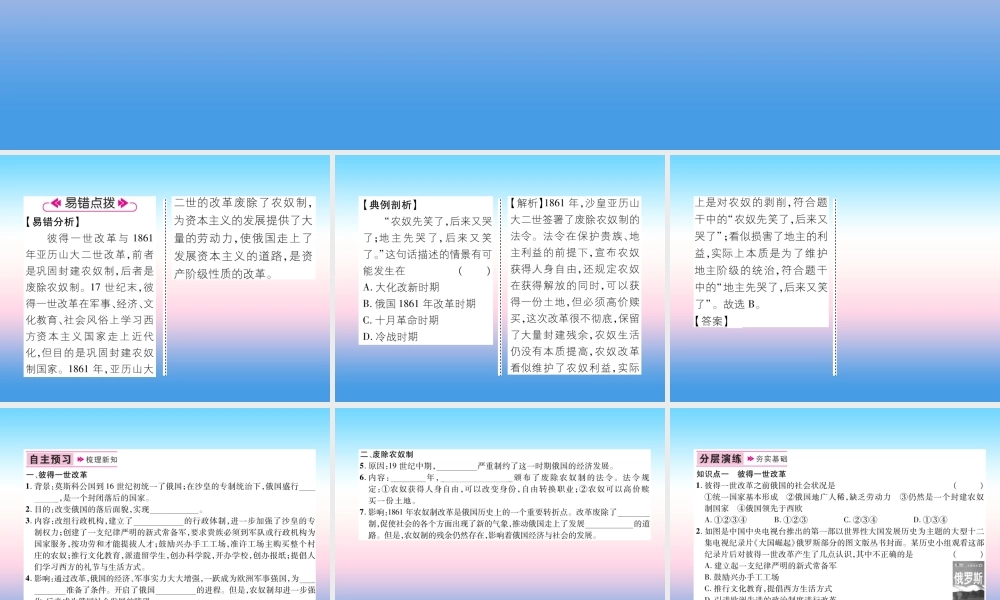 九年级历史下册 第1单元 殖民地人民的反抗与资本主义制度的拓展 第2课 俄国的改革易错点拨课件 新人教版 课件