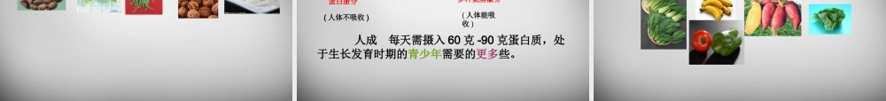 九年级化学全册 第11单元 第1节(食物中的有机物)课件 鲁教版五四制 课件