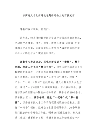 在高端人才队伍建设专题推进会上的汇报发言