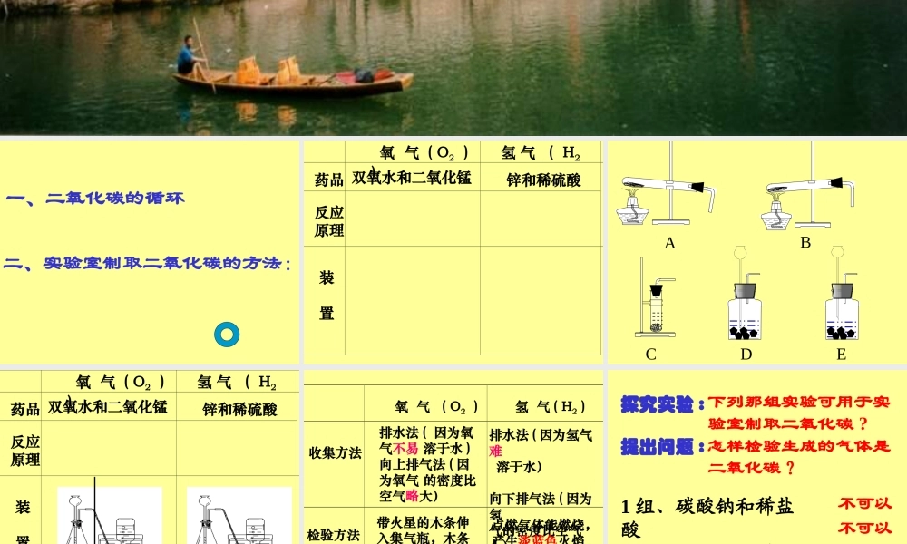 九年级化学(大自然中的二氧化碳)课件  课件
