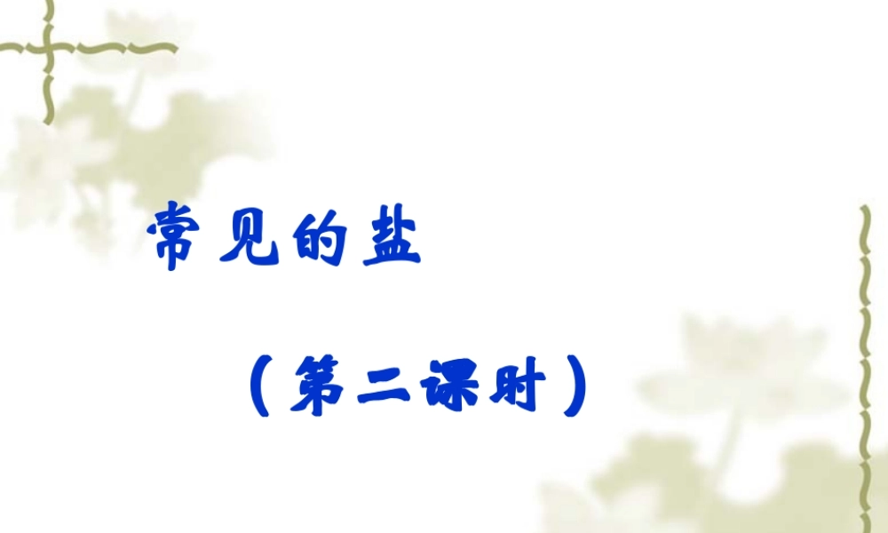 九年级化学生活中常见的盐 2课件粤教版 课件