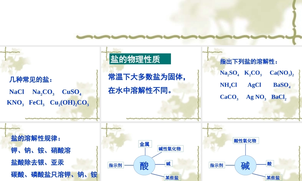 九年级化学生活中常见的盐 2课件粤教版 课件