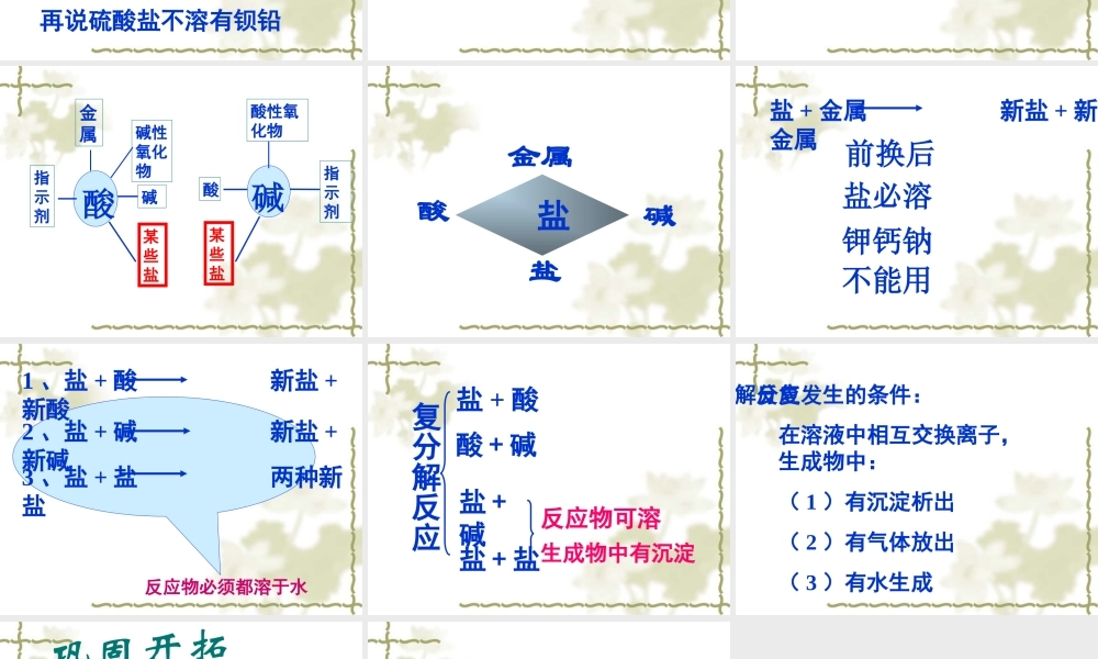 九年级化学生活中常见的盐 2课件粤教版 课件