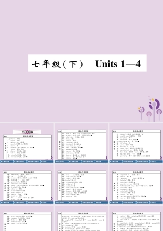 中考英语总复习 第一篇 教材知识梳理篇 七下 Units 1 4(精讲)课件