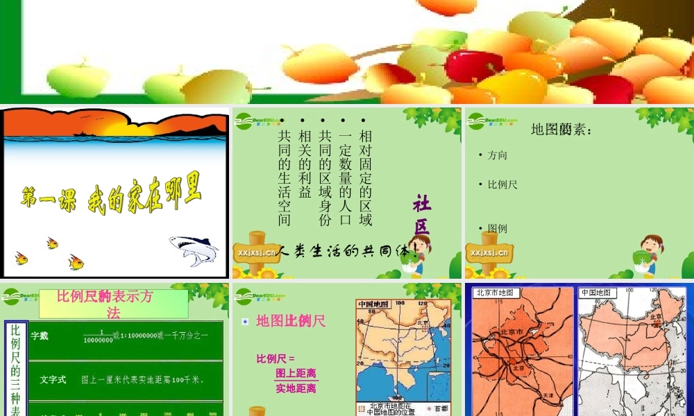 七年级历史与社会上册 第一单元(生活在社区里)复习课件 人教新课标版 课件