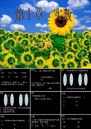 10.1.2  平方根 广东省七年级数学下学期(第十章 实数)全套课件