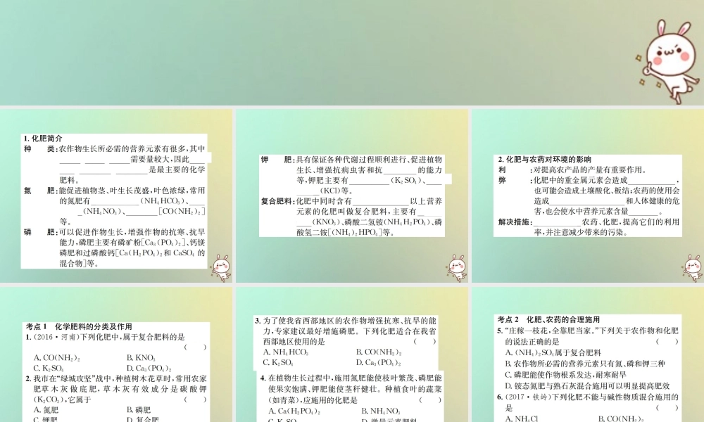 九年级化学下册 第十一单元 盐 化肥 课题2 化学肥料 第1课时 化学肥料课件 (新版)新人教版 课件