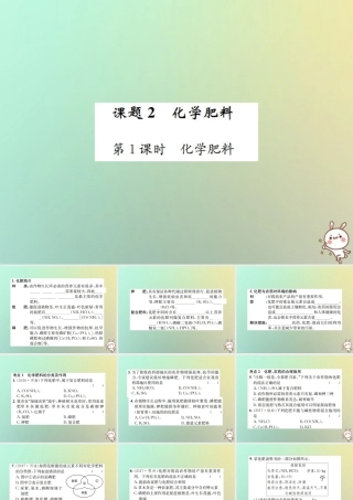九年级化学下册 第十一单元 盐 化肥 课题2 化学肥料 第1课时 化学肥料课件 (新版)新人教版 课件
