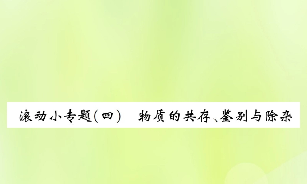 九年级化学下册 第十一单元 盐 化肥 滚动小专题(四)物质的共存、鉴别与除杂复习课件 (新版)新人教版 课件