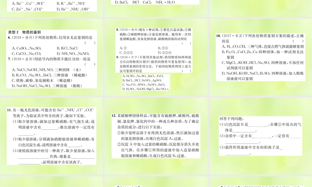 九年级化学下册 第十一单元 盐 化肥 滚动小专题(四)物质的共存、鉴别与除杂复习课件 (新版)新人教版 课件