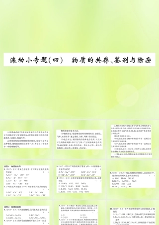 九年级化学下册 第十一单元 盐 化肥 滚动小专题(四)物质的共存、鉴别与除杂复习课件 (新版)新人教版 课件