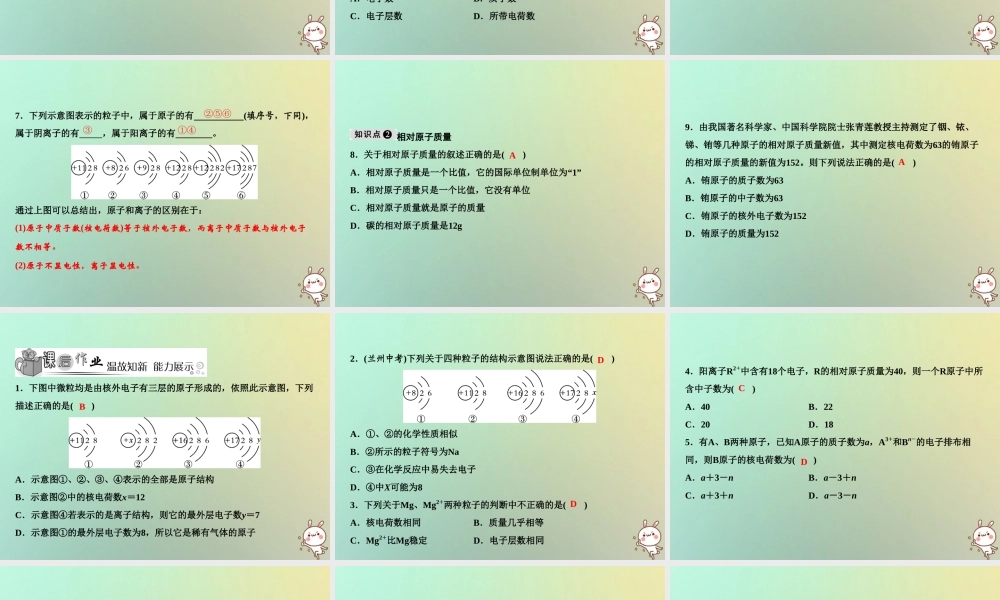 九年级化学上册 第3单元 物质构成的奥秘 课题2 原子的结构 第2课时 离子 相对原子质量作业课件 (新版)新人教版 课件