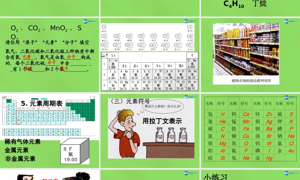 九年级化学上册 第三章 第2节 组成物质的化学元素课件 (新版)沪教版 课件