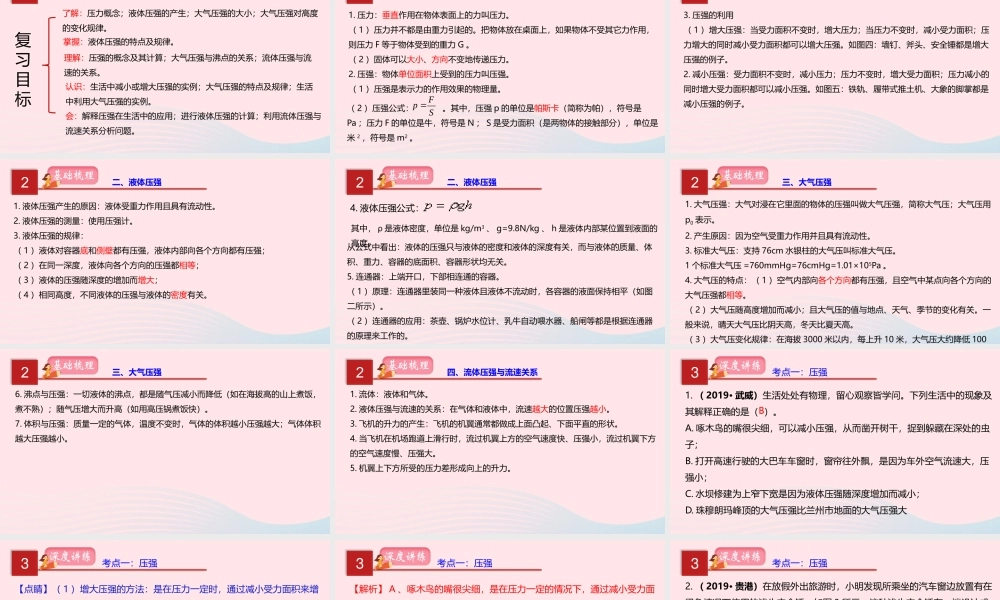 中考物理一轮复习 专题10 压强课件