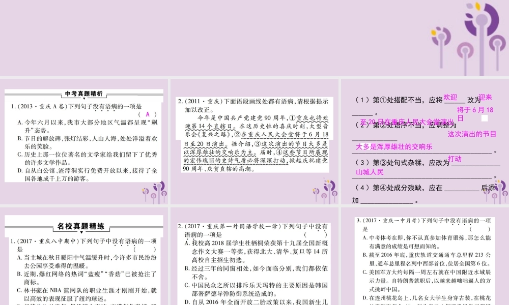 中考语文复习 第一部分 语文知识及运用 专题六 语病的辨析课件