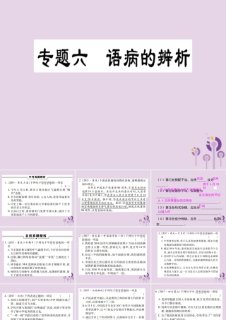 中考语文复习 第一部分 语文知识及运用 专题六 语病的辨析课件