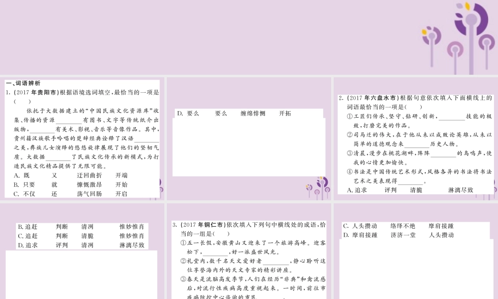 (贵州专版)中考语文复习 第二轮 第一部分 语言积累与运用 专题二 词语的理解与运用真题汇编课件