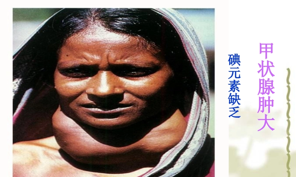 九年级化学化学元素与人体健康 2课件粤教版 课件