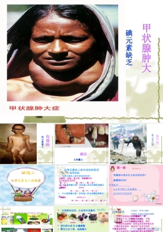 九年级化学化学元素与人体健康 2课件粤教版 课件