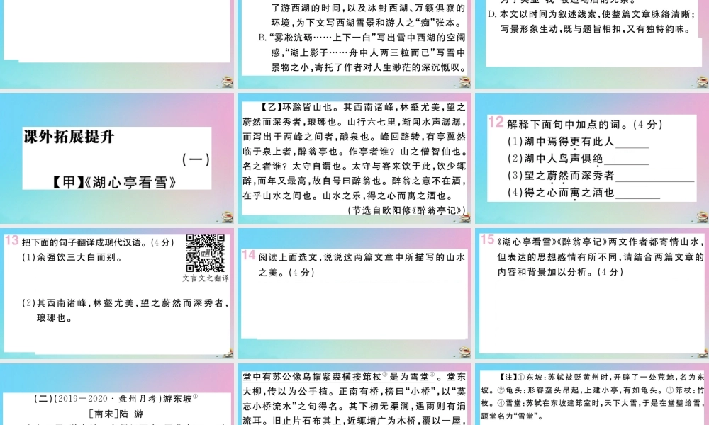 (贵州专版)九年级语文上册 第三单元 12 湖心亭看雪作业课件 新人教版 课件