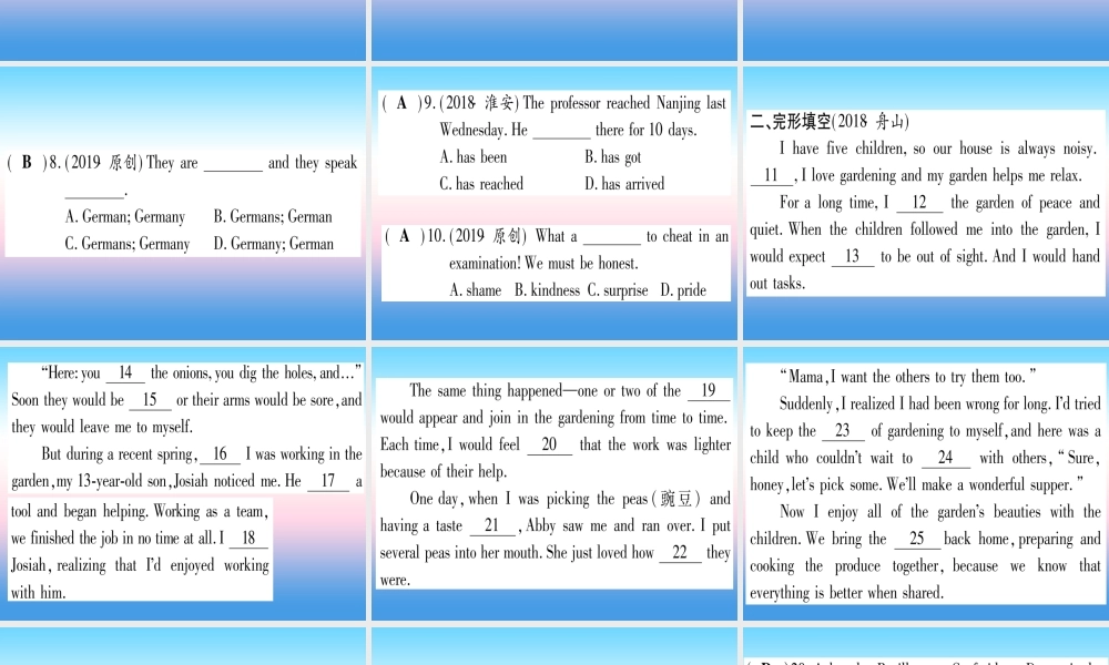 (湖北专用版)版中考英语复习 第一篇 教材系统复习 考点精练十五 八下 Units 9 10实用课件