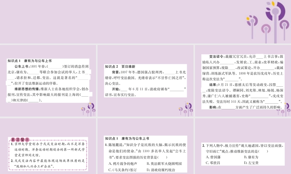 (河南专版)八年级历史上册 第二单元 近代化的早期探索与民族危机的加剧 第6课 戊戌变法课件 新人教版 课件