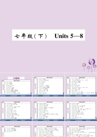 中考英语总复习 第一篇 教材知识梳理篇 七下 Units 5 8(精讲)课件