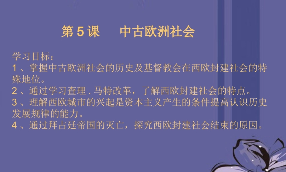 九年级历史上册 第5课 中古欧洲社会(2) 新人教版 课件