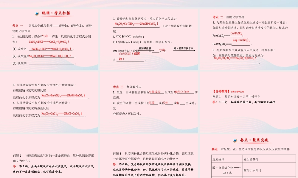 九年级化学下册 第十一单元 盐 化肥 第2课时盐的化学性质和复分解反应课件 (新版)新人教版 课件