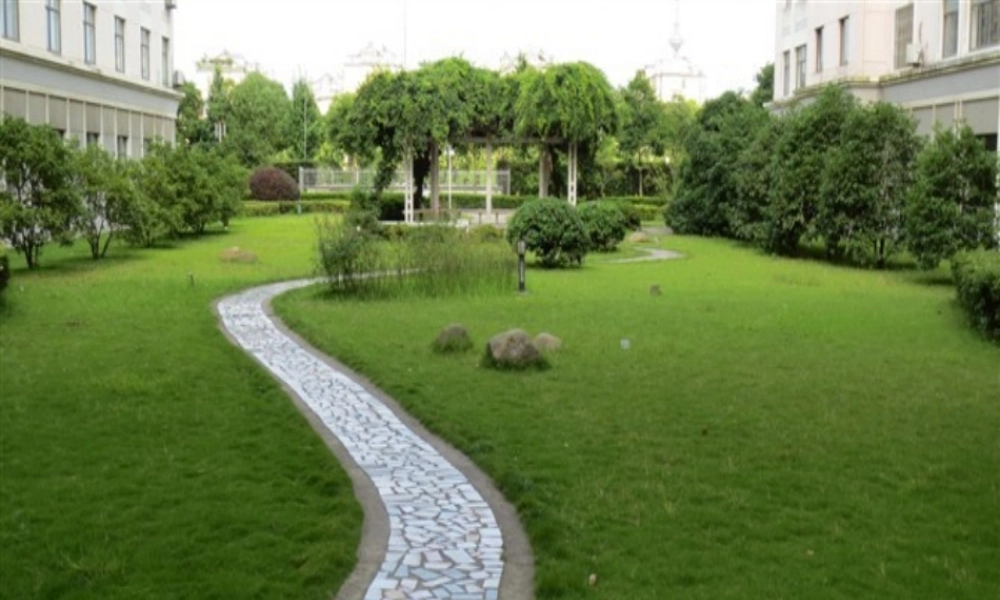 七年级历史与社会上册 第三单元 第5课 第2框(沙漠绿洲—以色列)课件1 人教版 课件