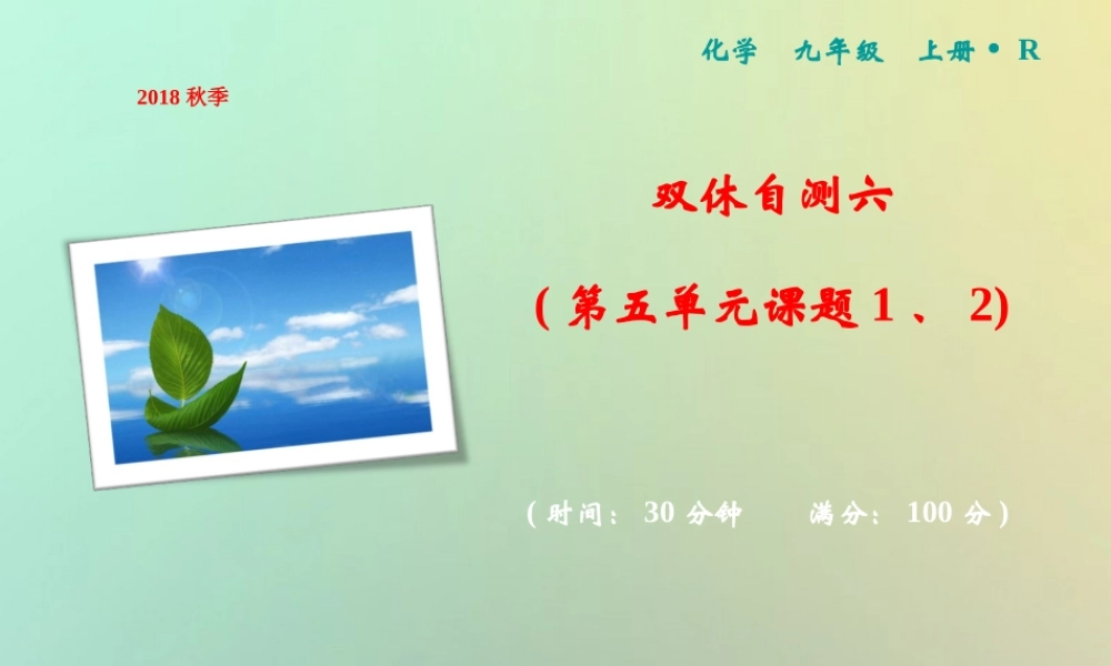 九年级化学上册 双休自测六(第五单元 课题1、2)作业课件 (新版)新人教版 课件