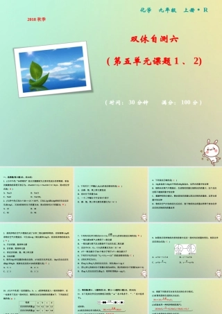 九年级化学上册 双休自测六(第五单元 课题1、2)作业课件 (新版)新人教版 课件